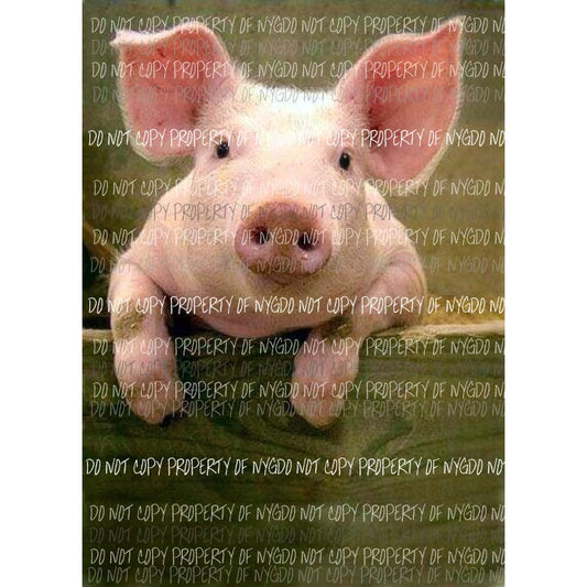 Pig 403 sublimation transfer Heat Transfer