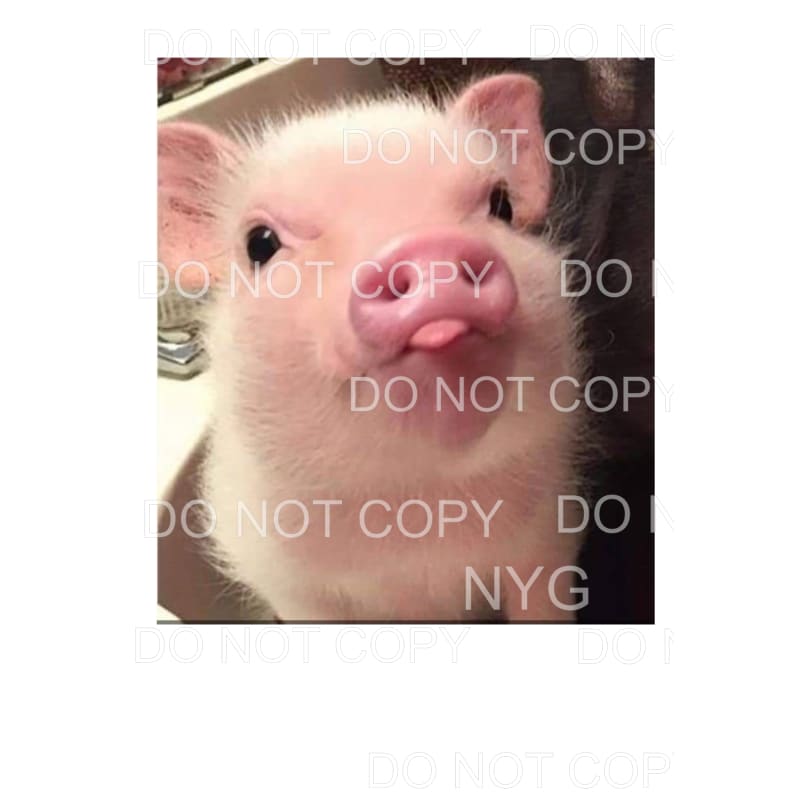 Pig #9 Sublimation transfers - Heat Transfer