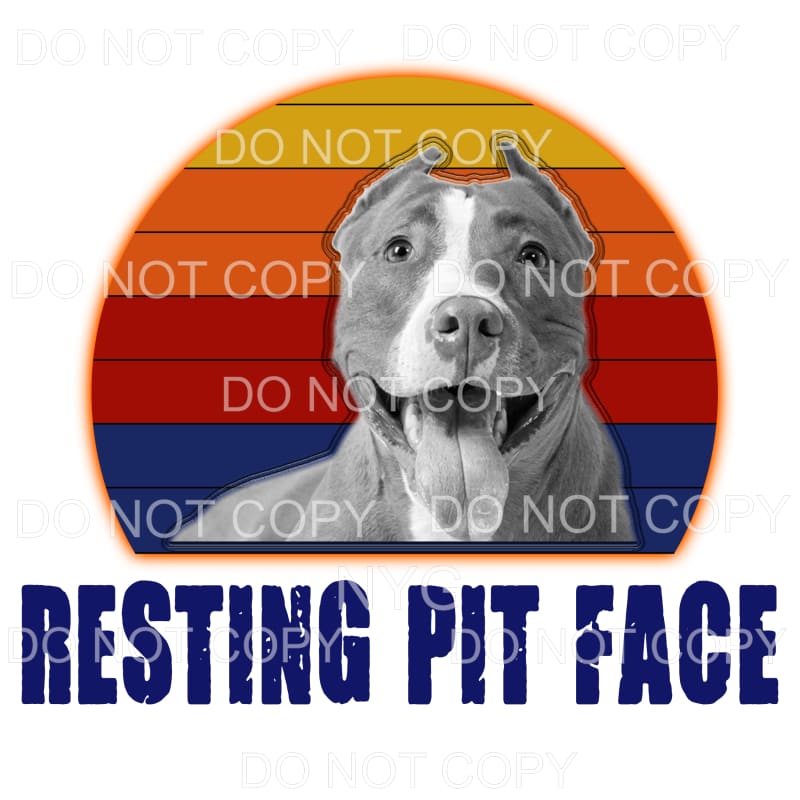 Resting Pit Face Pitbull Sublimation transfers - Heat 