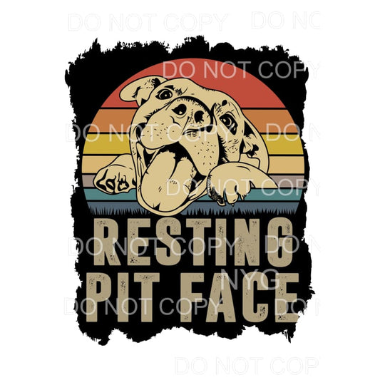 Resting Pit Face Retro Pitbull Dog Sublimation transfers - 