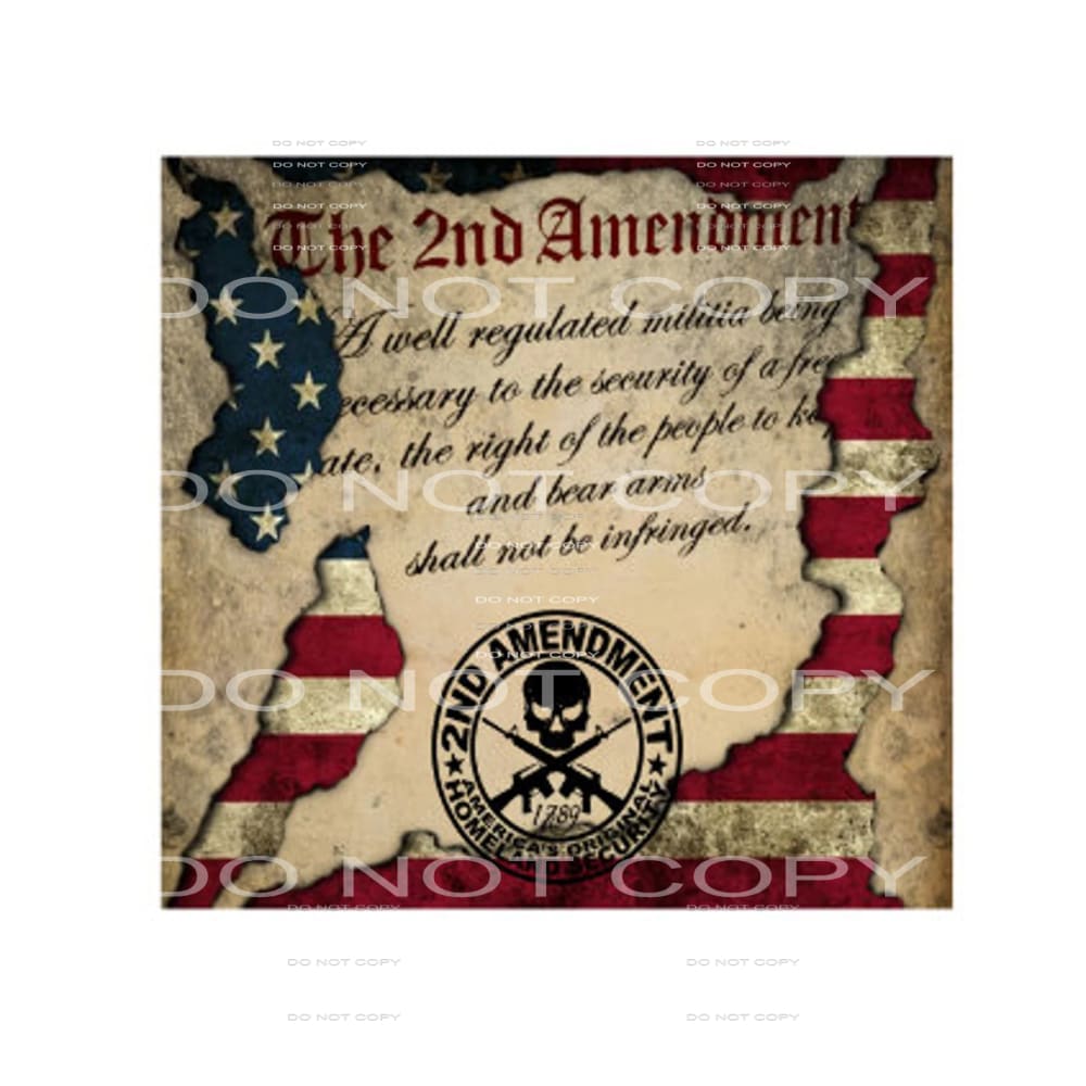 the 2nd amendment #6903 Sublimation transfers - Heat 