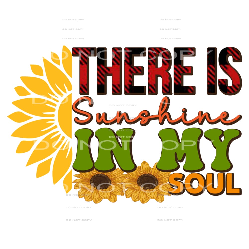 There Is Sunshine In My Soul #5372 Sublimation transfers -