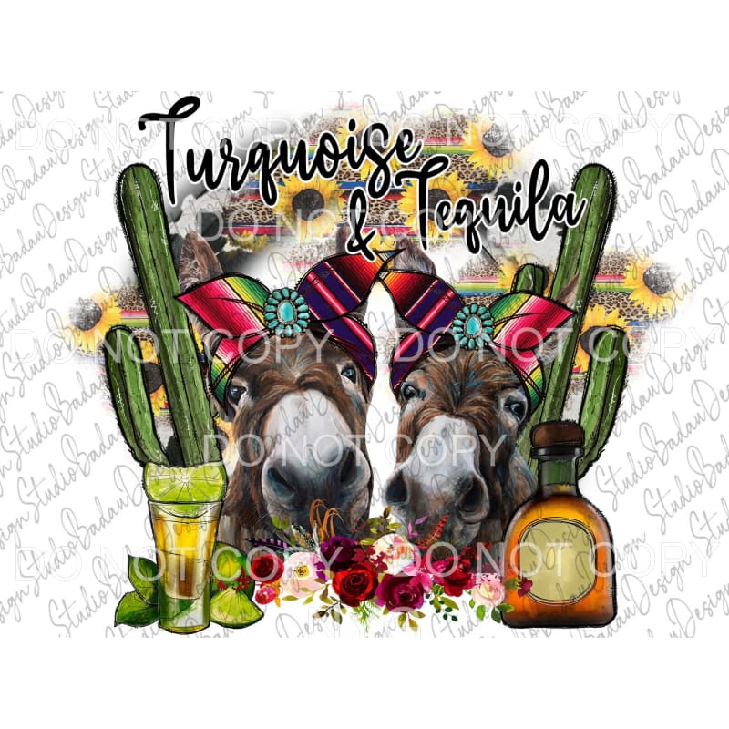 Turquoise & Tequila Horses Serape Head Scarf Cactus Bottles 